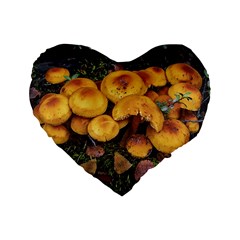 Orange Mushrooms In Patagonia Forest, Ushuaia, Argentina Standard 16  Premium Flano Heart Shape Cushions by dflcprintsclothing