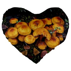Orange Mushrooms In Patagonia Forest, Ushuaia, Argentina Large 19  Premium Flano Heart Shape Cushions by dflcprintsclothing