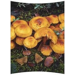 Orange Mushrooms In Patagonia Forest, Ushuaia, Argentina Back Support Cushion by dflcprintsclothing