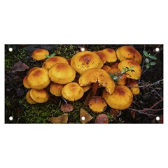 Orange Mushrooms In Patagonia Forest, Ushuaia, Argentina Banner And Sign 6  X 3  by dflcprintsclothing