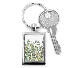 Gold And Green Eucalyptus Leaves Key Chain (rectangle) by Jack14