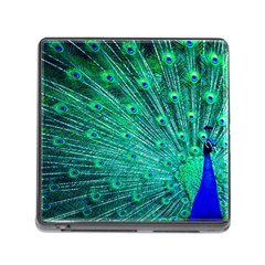 Green And Blue Peafowl Peacock Animal Color Brightly Colored Memory Card Reader (square 5 Slot) by Semog4