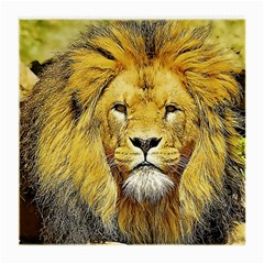 Lion Lioness Wildlife Hunter Medium Glasses Cloth (2 Sides) by Mog4mog4