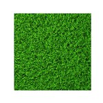 Green Grass Texture Summer Square Satin Scarf (30  x 30 ) Front
