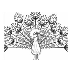 Peacock-plumage-display-bird Two Sides Premium Plush Fleece Blanket (mini) by 99art
