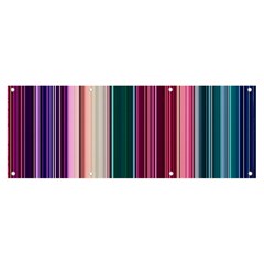 Vertical Line Color Lines Texture Banner And Sign 8  X 3  by Bangk1t