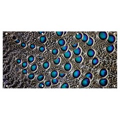 Peacock Pattern Close Up Plumage Banner And Sign 8  X 4  by Celenk