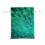 Green And Blue Peafowl Peacock Animal Color Brightly Colored Lightweight Drawstring Pouch (L) Back