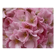 Cherry-blossoms Two Sides Premium Plush Fleece Blanket (large) by Excel