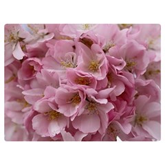Cherry-blossoms Premium Plush Fleece Blanket (extra Small) by Excel