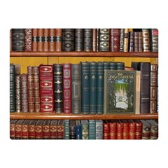 Books-library-bookshelf-bookshop Two Sides Premium Plush Fleece Blanket (mini) by Ravend