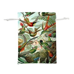 Humming Birds Trochilidae Lightweight Drawstring Pouch (s) by Pakjumat