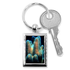 Photo Coral Great Scleractinia Key Chain (rectangle) by Pakjumat