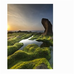 Coast Algae Sea Beach Shore Large Garden Flag (two Sides) by Sarkoni