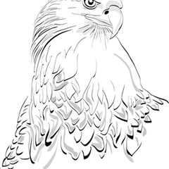 Eagle Birds Of Prey Raptor Play Mat (square) by Modalart
