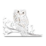 Owl Bird Wildlife Bird Of Prey Plate Mats 18 x12  Plate Mat