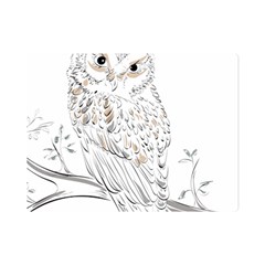 Owl Bird Wildlife Bird Of Prey Premium Plush Fleece Blanket (mini) by Modalart