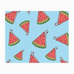 Watermelon Fruit Pattern Tropical Small Glasses Cloth (2 Sides) Back