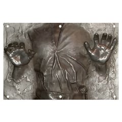 Han Solo In Carbonite Banner And Sign 6  X 4  by Sarkoni