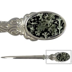 Weave Haeckel Lichenes Photobionten Letter Opener by Cemarart