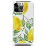 Fruit-2310212 iPhone 13 Pro Max TPU UV Print Case Front