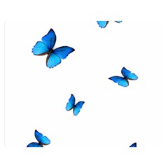 Butterfly-blue-phengaris Premium Plush Fleece Blanket (medium) by saad11
