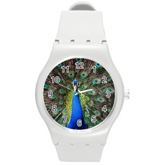 Peacock Bird Feathers Pheasant Nature Animal Texture Pattern Round Plastic Sport Watch (m) by Bedest