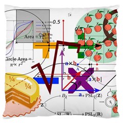 Mathematics Formula Physics School Large Premium Plush Fleece Cushion Case (two Sides) by Bedest
