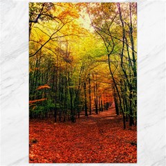Forest Woods Autumn Nature Canvas 24  X 36  by Proyonanggan