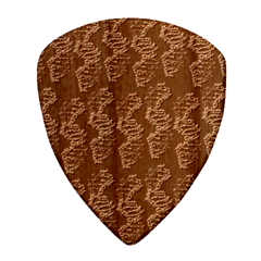 Multicolored Dna Strand Art Wood Guitar Pick (set Of 10) by ExtraAwesomeSauce