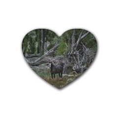 Meadow Landscape, Los Altares, Chubut Province, Argentina Rubber Coaster (heart) by dflcprintsclothing