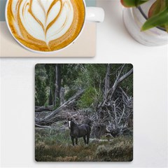 Meadow Landscape, Los Altares, Chubut Province, Argentina Uv Print Square Tile Coaster  by dflcprintsclothing
