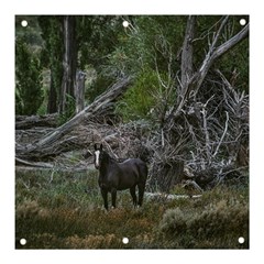 Meadow Landscape, Los Altares, Chubut Province, Argentina Banner And Sign 3  X 3  by dflcprintsclothing