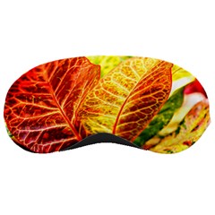 Leaves Plant Pattern Croton Nature Sleep Mask by Sabxi